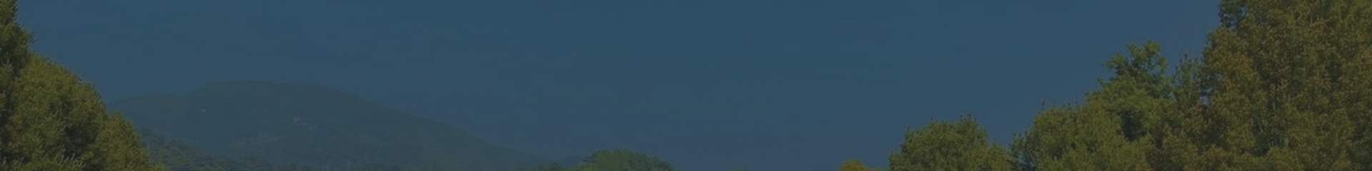 天津公墓购墓流程标题背景图