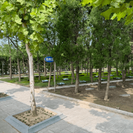 憩园公墓树葬