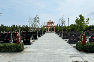 憩园公墓墓区环境图