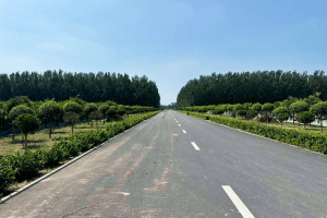 兰生园公墓园区景观图