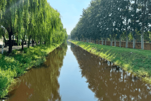 兰生园公墓园区景观图