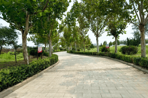 憩园公墓园区景观图