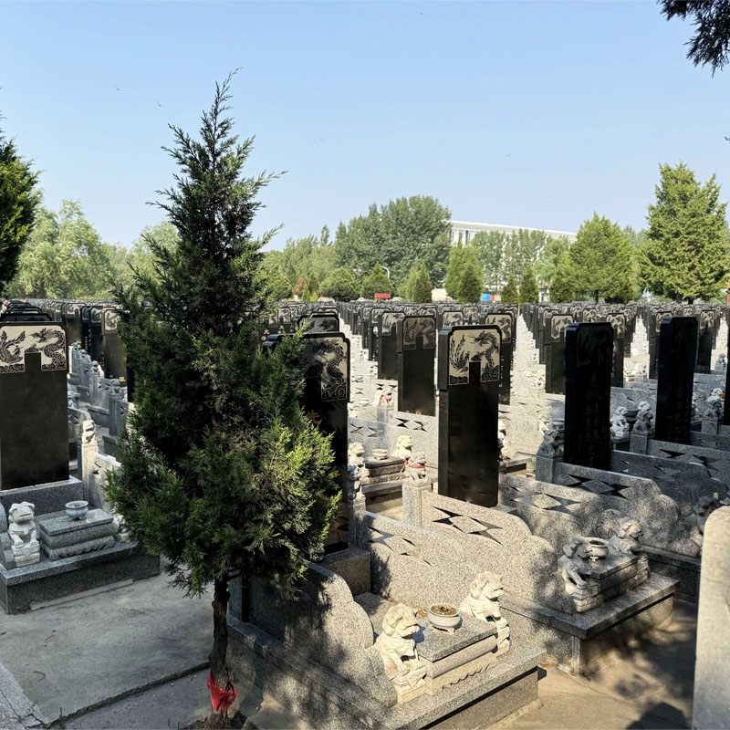 天津市津南区怡静园传统立碑墓型1号