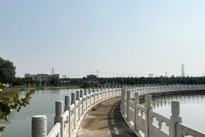 天津市津南区怡静园园区湖景图