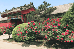 永定塔陵园区景观图