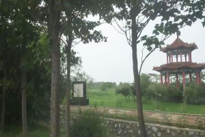 天津市静海县德慈塔陵园区环境图