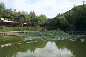 元宝山庄生命纪念园景观图