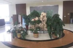 天津市静海县德慈塔陵业务大厅图