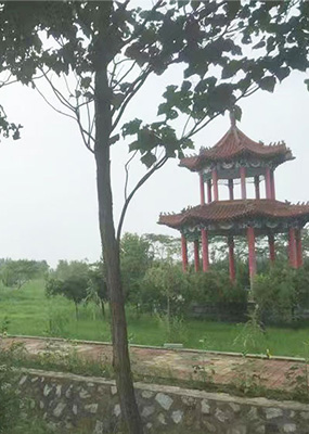 天津市静海县德慈塔陵首页封面图