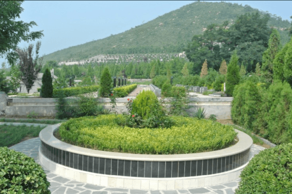 塘沽梦境园景观图