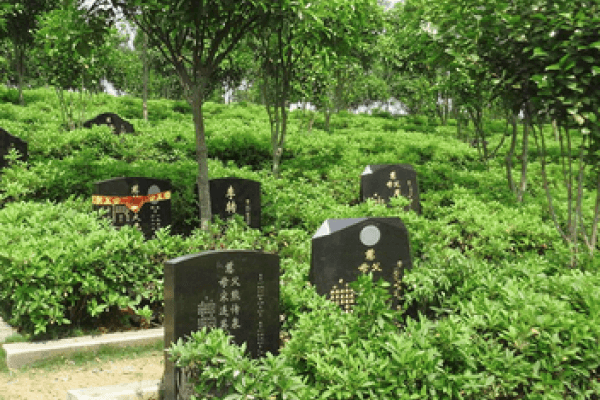 汉沽逸安园墓区图
