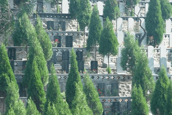 塘沽梦境园墓区图