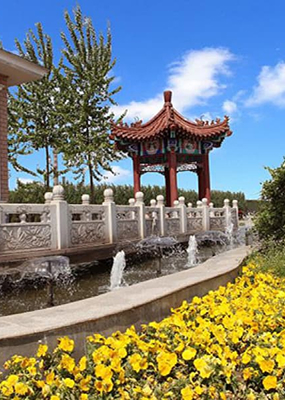 大港万寿园