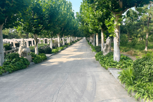 灵山宝塔陵园墓区环境图